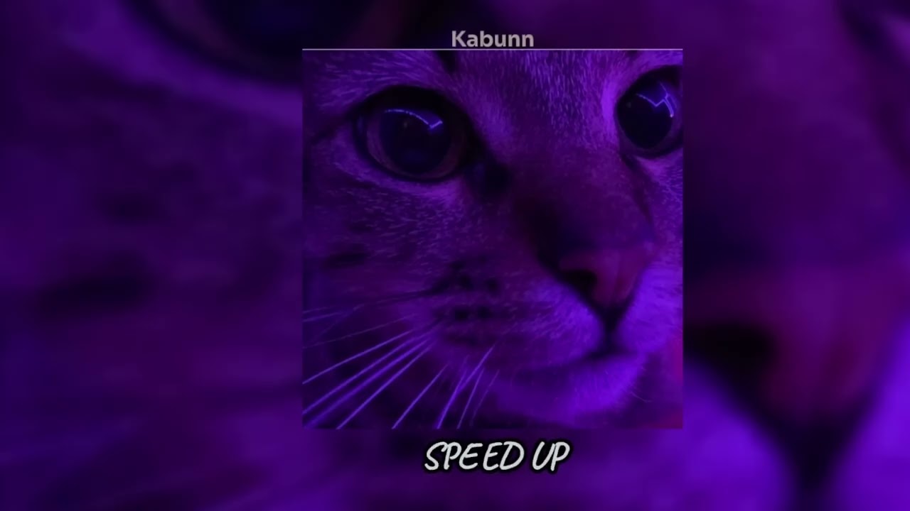 Рандом трэки для твоего вайба/Random music for vibes