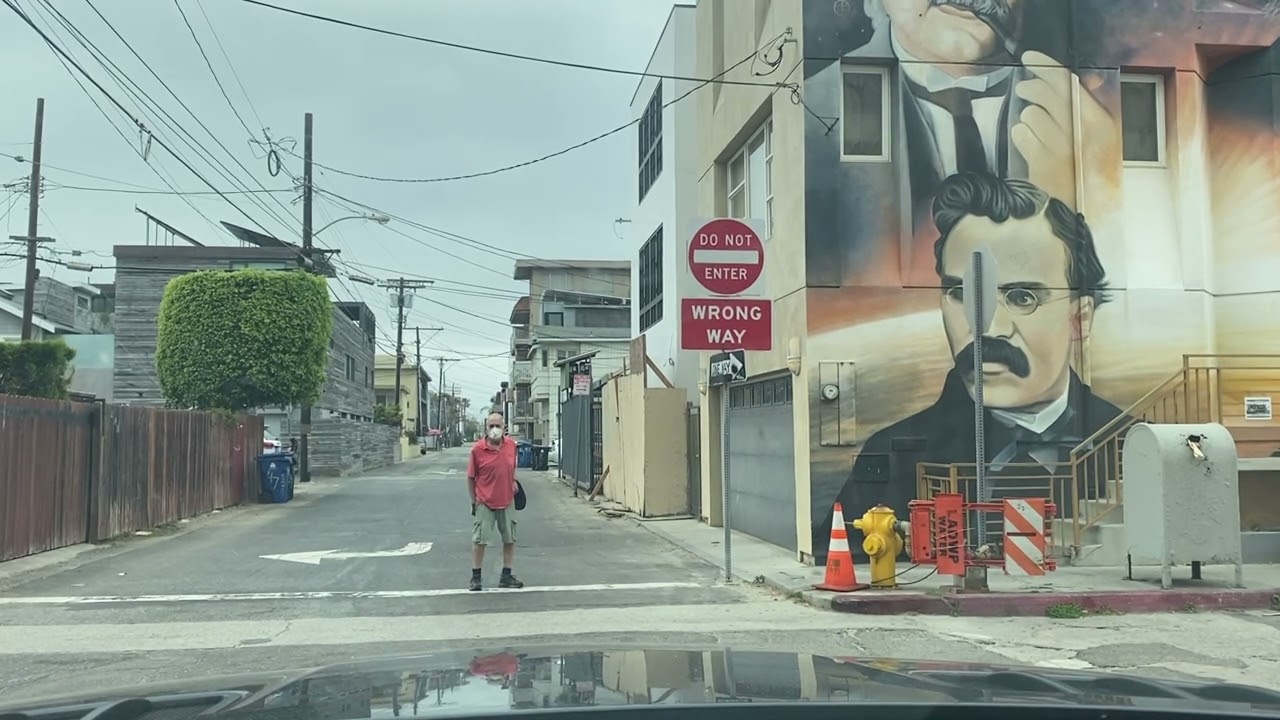 VENICE BEACH ALLY