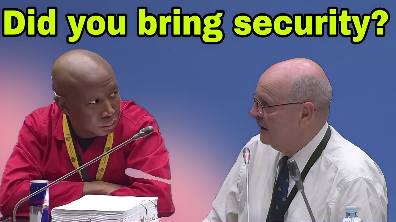 Julius Malema asks Paul O'Sullivan about his security detail.