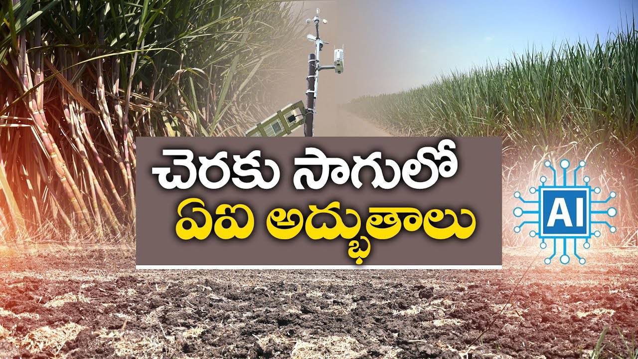 AI Technology in Sugarcane Cultivation | Yields Amazing Results | చెరకు సాగులో ఏఐ || Idi Sangathi