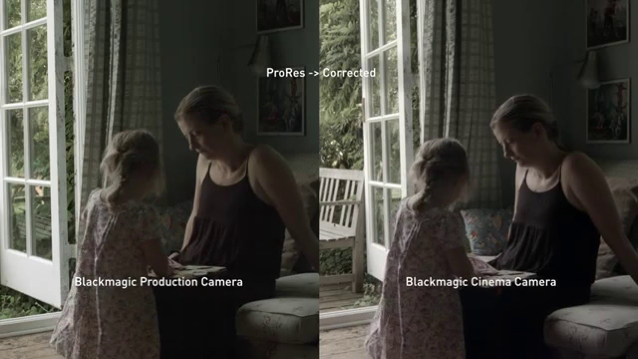 BMCC vs BMPC4k | In the Raw 2.4k