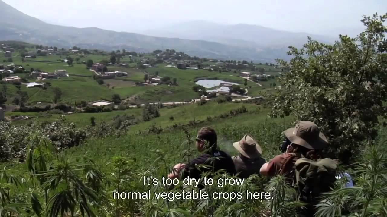 03 Strain Hunters Morocco Expedition by Green House Seed Co