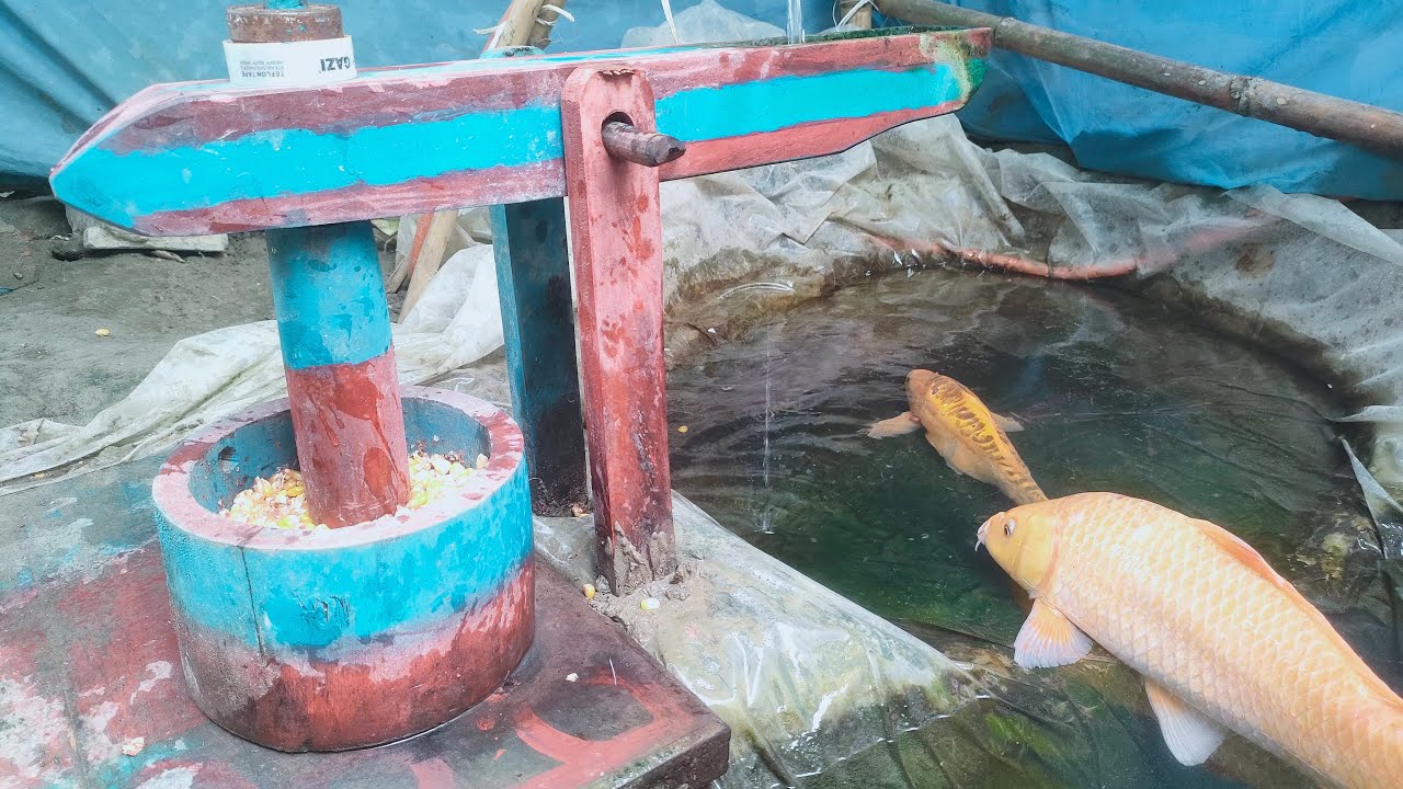 water powered pounder corn live