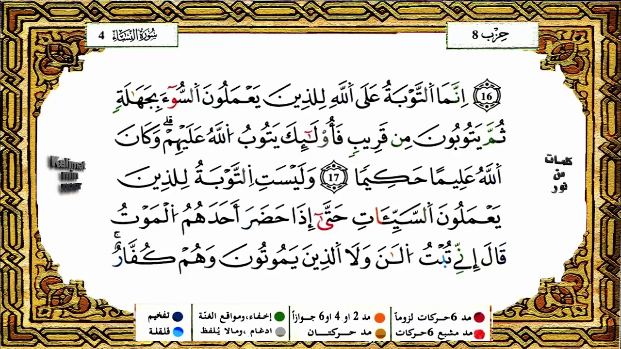 سورة النساء برواية ورش القارئ ياسين الجزائري