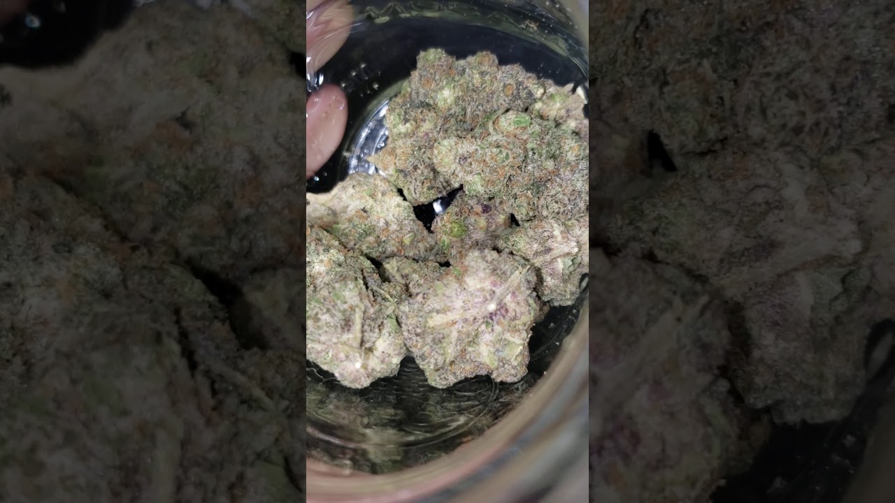 cherry fritters strain #420 #CHERRYFRITTERSSTRAIN #dank Cherry pie x Apple Fritters #cherryfritters