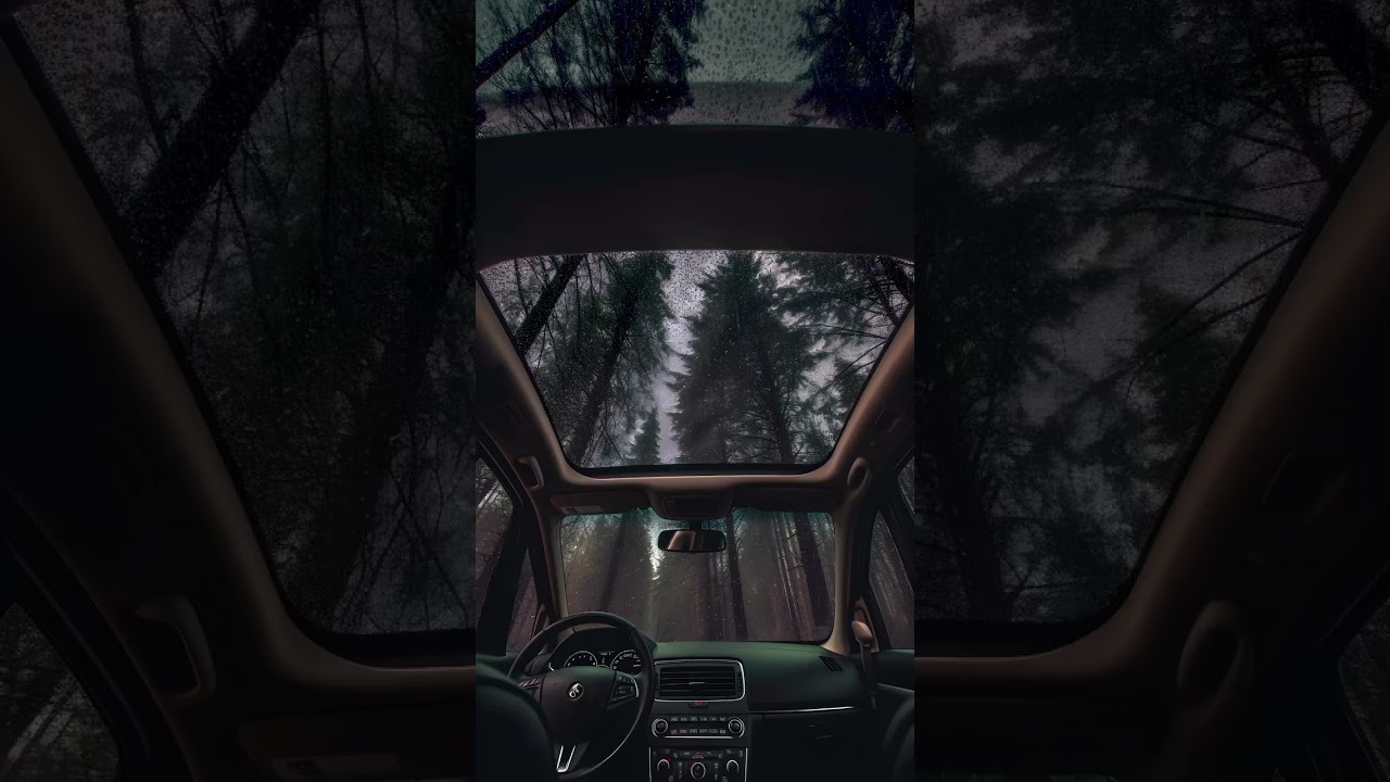Cozy Rain Inside Car #cozyrainshorts #raininsidecar #rainydayinsidecar