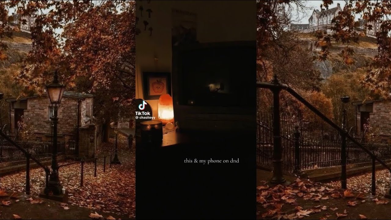 Fall/Autumn vibes to get you in mood/Tiktok complication🎃🍁