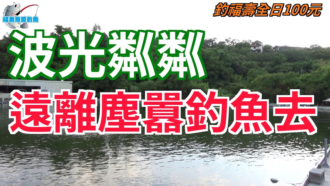 【休閒釣魚】聯合休閒魚池 水深好玩 超多浮標訊號的地方 釣一天只要100塊 還有烏鰡休閒池 免費供應魚餌(螺)