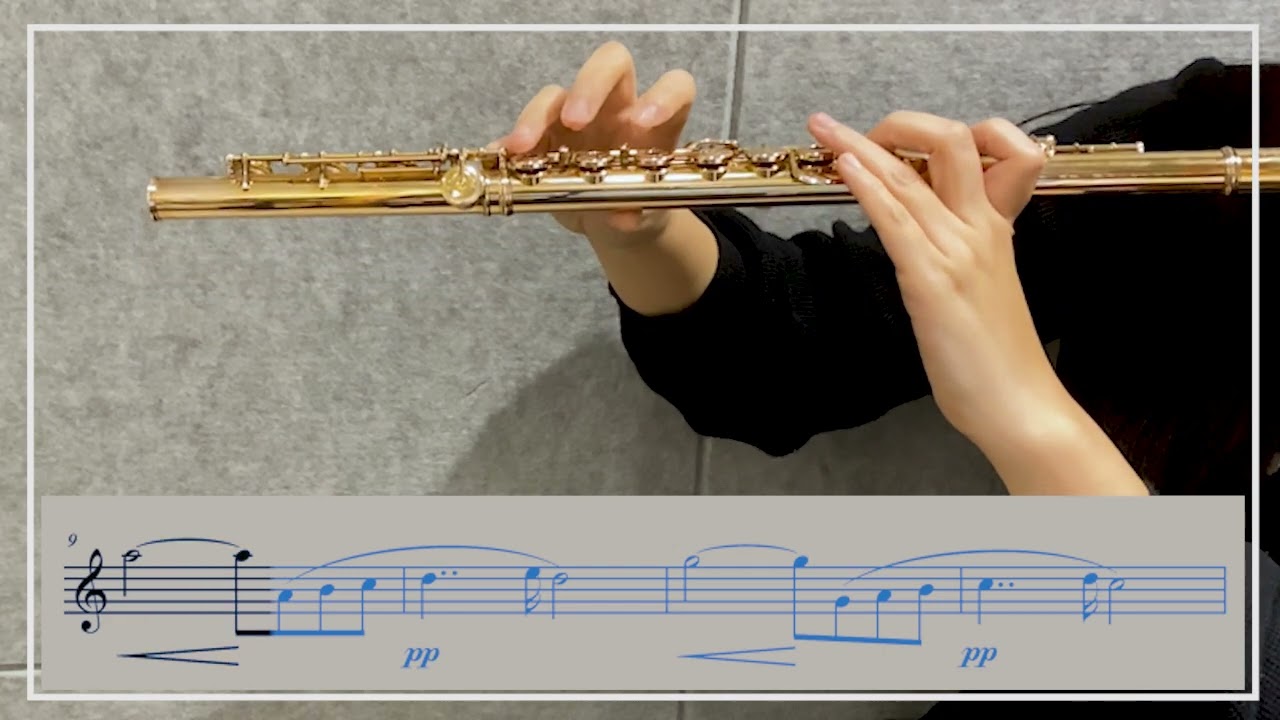 J.S. Bach - F. Gounod - Ave Maria for Flute and Piano  (바흐 - 구노 아베마리아)