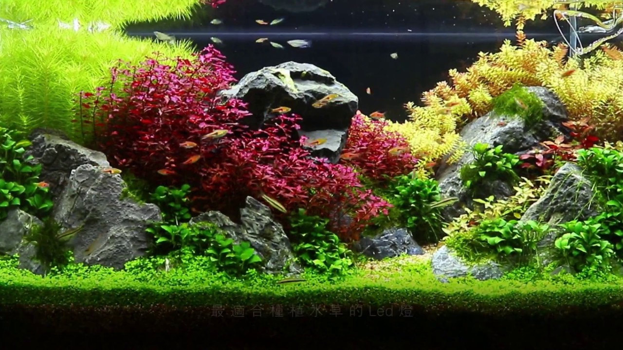 Johnlen Multi Spectrum Led Aquarium Lamp