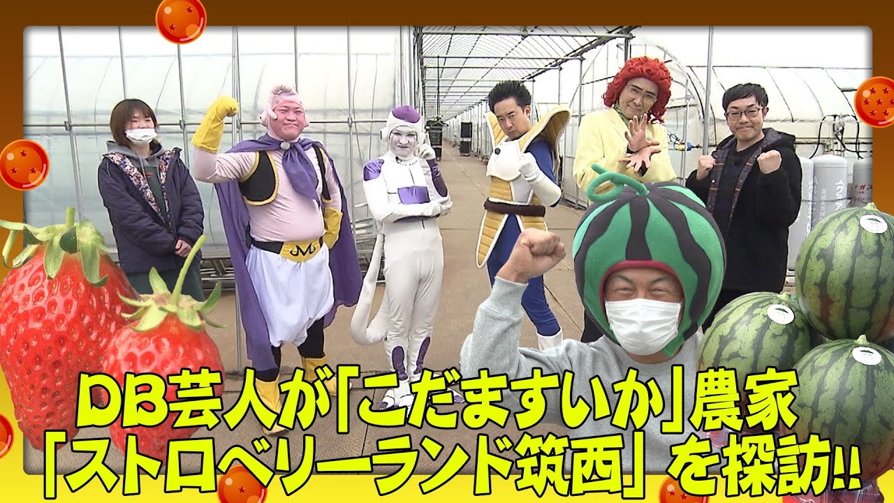 DB芸人がこだまスイカ農家とストロベリーランド筑西を探訪！