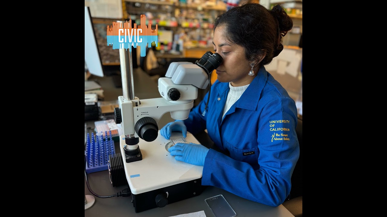 How Federal Cuts Threaten Research and Lives