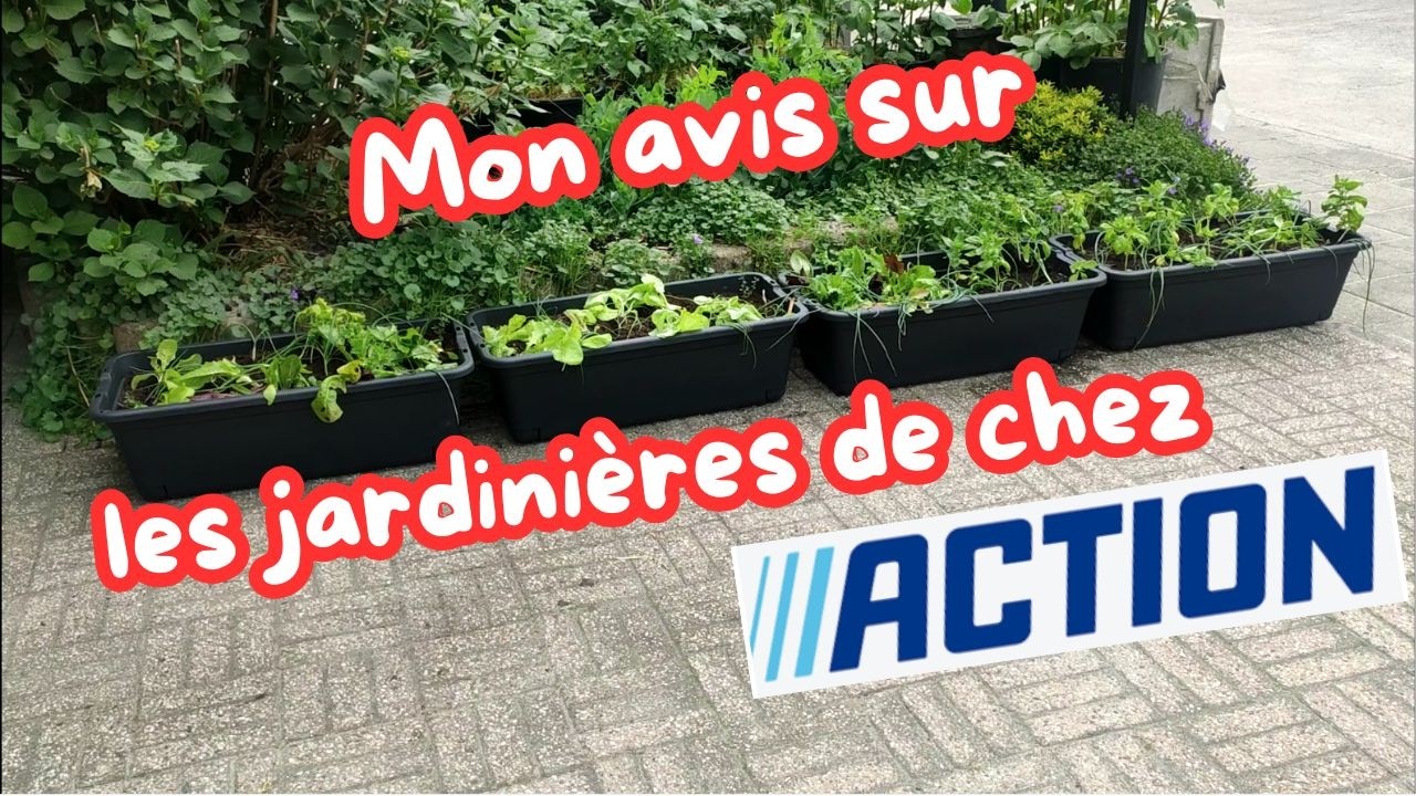 Mon AVIS sur les JARDINIERES de chez ACTION.