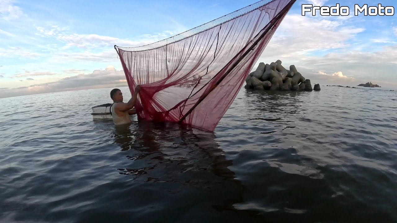 Traditional Method on Catching Krill(Alamang) Catch and Cook