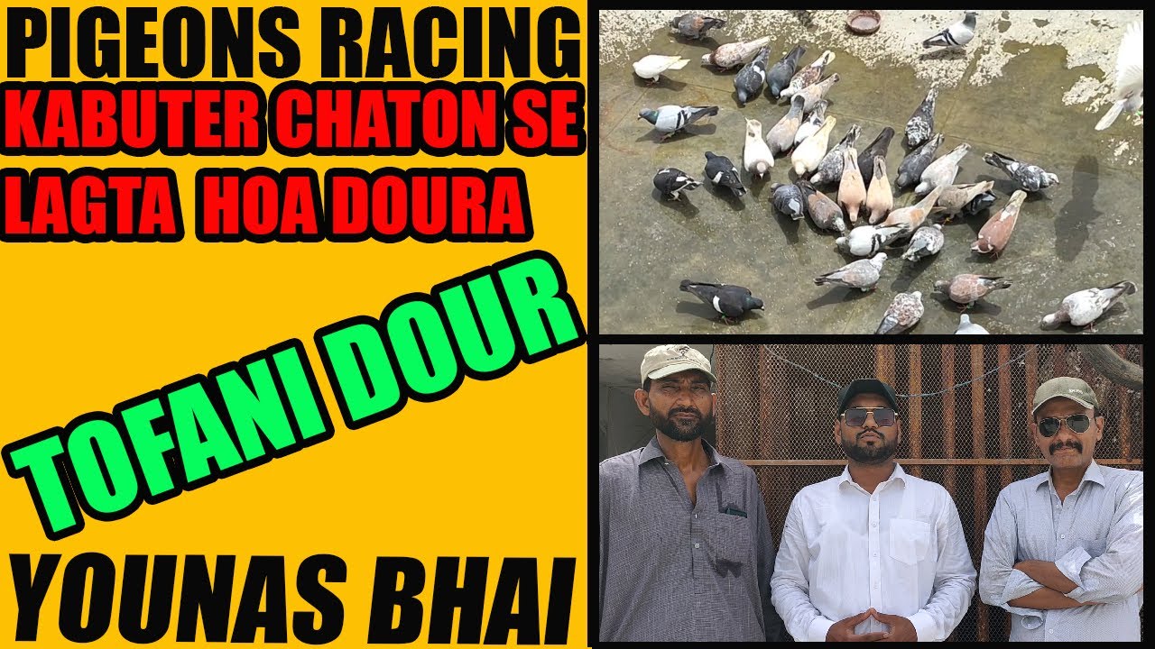 Younas Bhai Shah Faisal Walay K 45 Kabootar Chaton Se Lagta Hoa Doura Toofani Parkat  Basir Hashmi