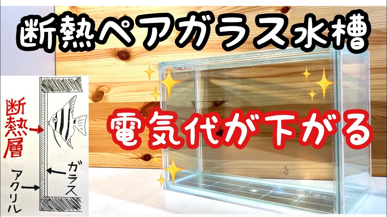 【ヒーター＆クーラーの節約】２重ガラス水槽にしたら断熱性が爆上がりしました