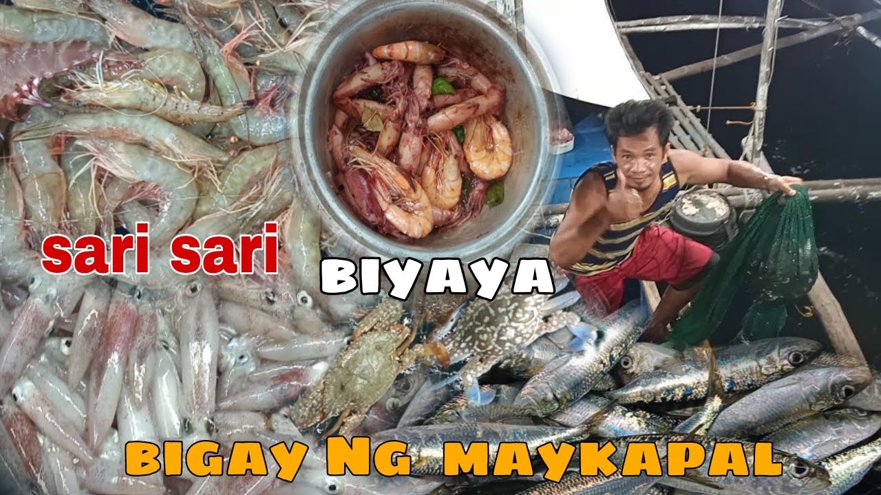 Jockpot naman sa pusit at hipon may sabay pang tamban