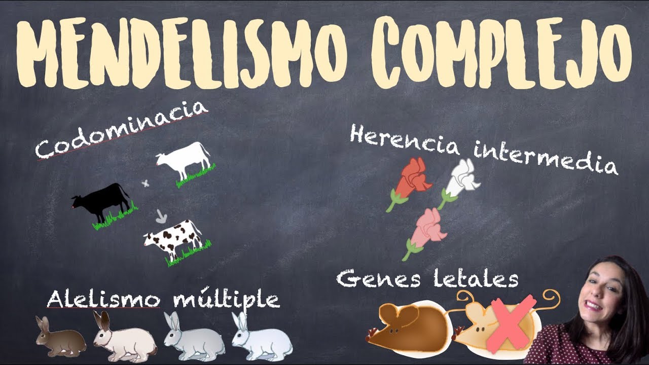 Genética mendeliana compleja: Herencia intermedia, codominacia, genes letales y alelismo múltiple