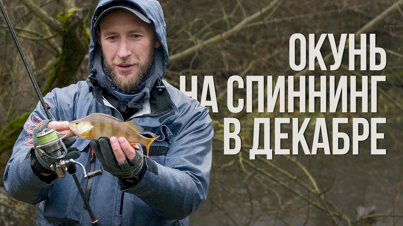 Как уговорить пассивного окуня в декабре? Поиск, ошибки и рабочие приманки. Спиннинг на реке зимой