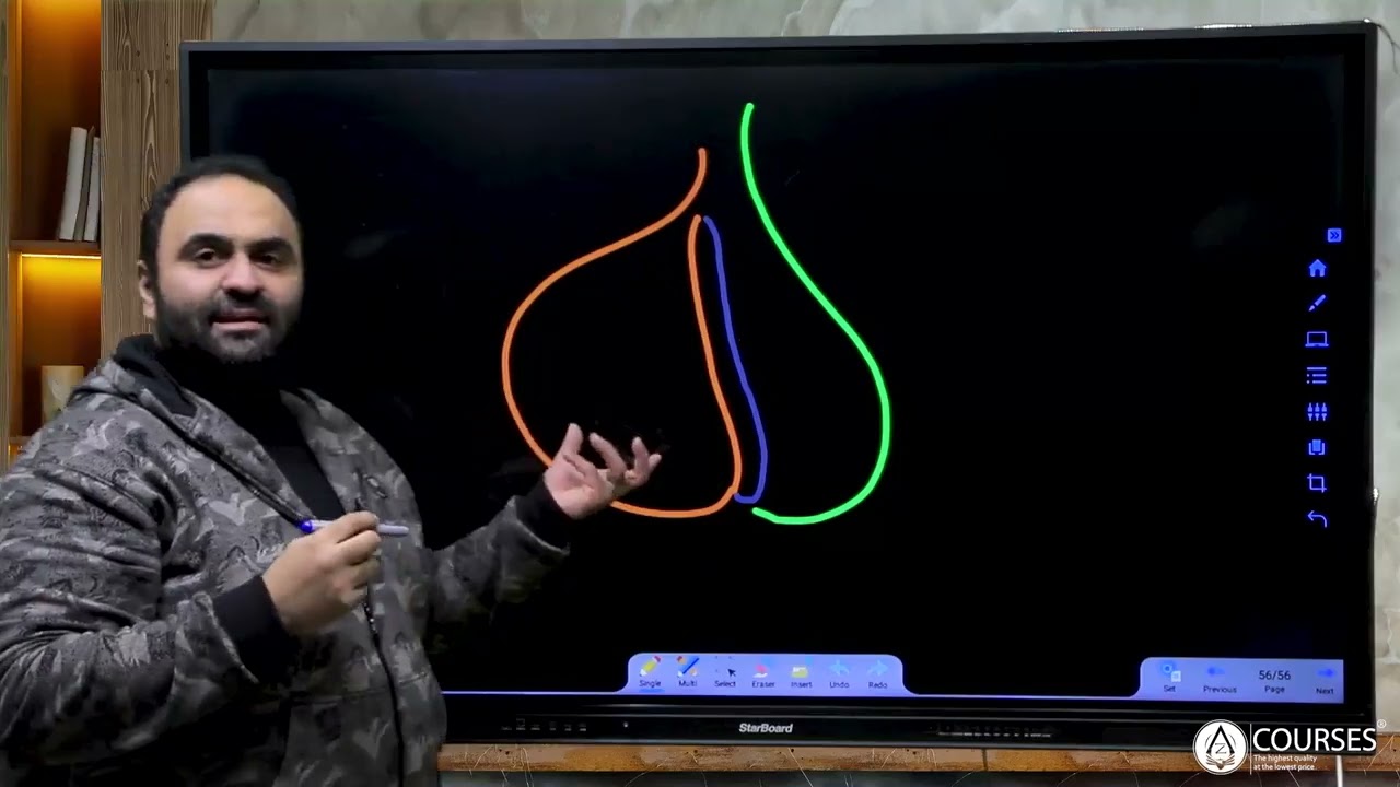 Endocrine Histology Pituitary gland part 1