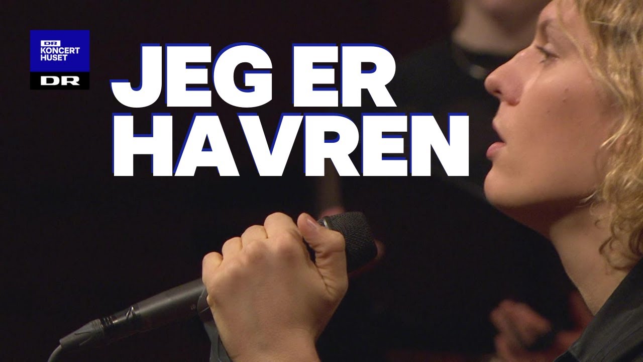 Jeg er havren // DR Pigekoret feat. Mattias Kolstrup (LIVE)