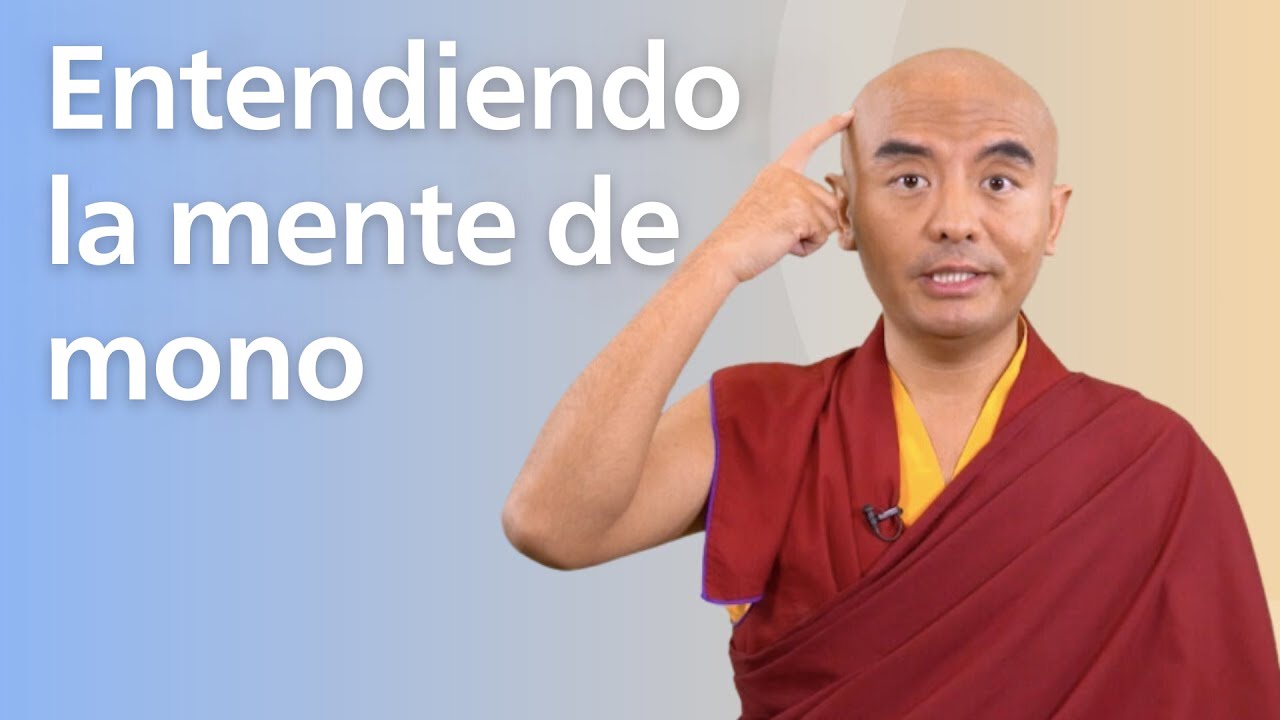 La mente de mono - Mingyur Rinpoche (sub. esp.)