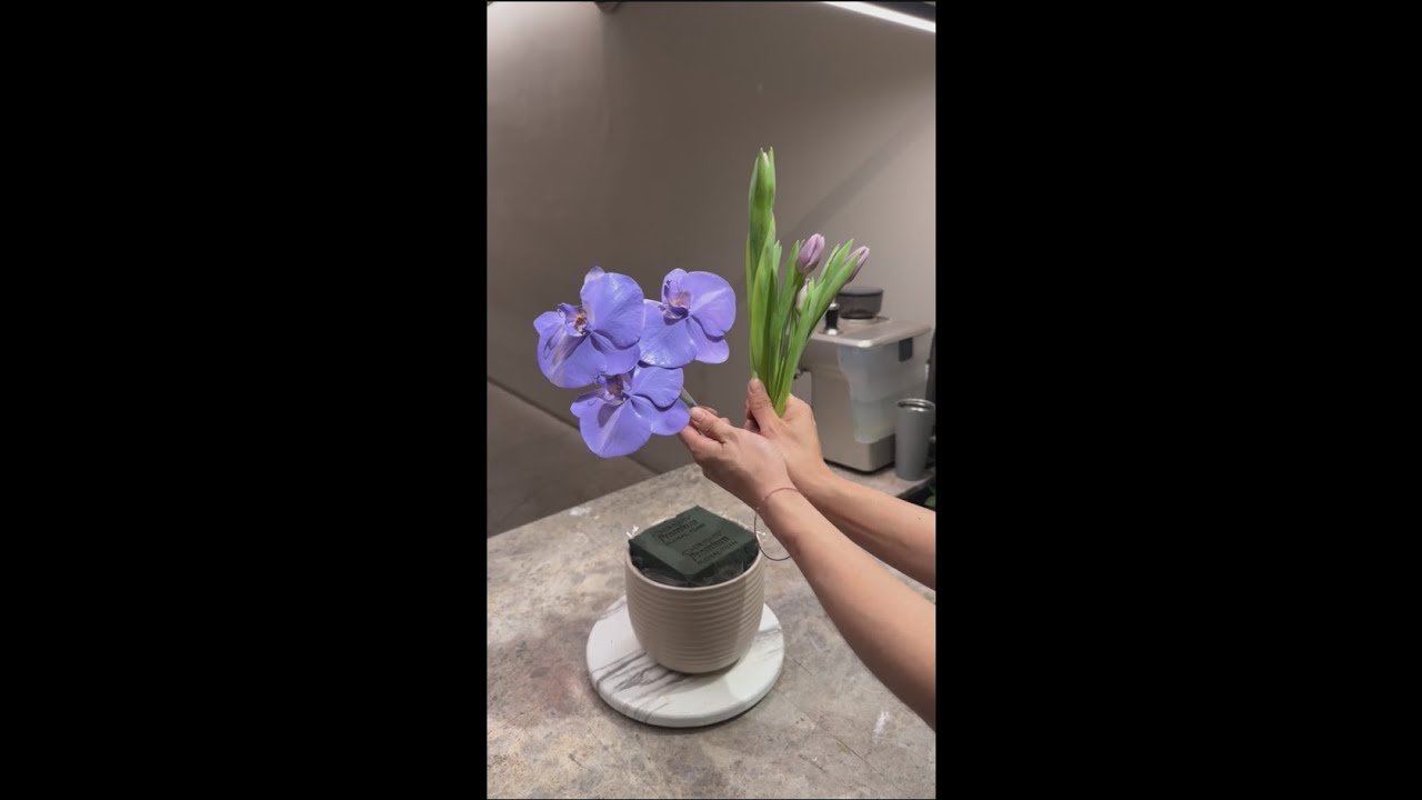 快閃插花52-紫色鬱金香盆花