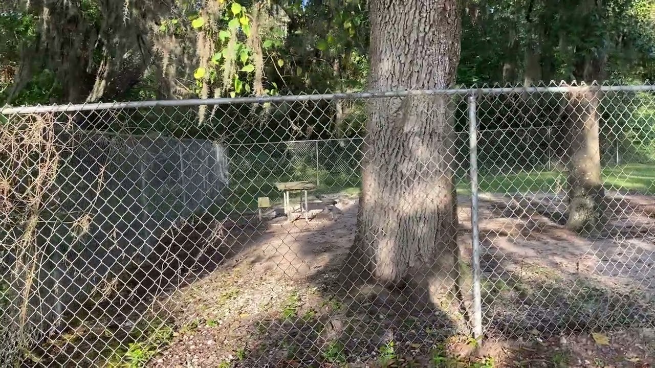 Creekfire RV Resort Dog Park