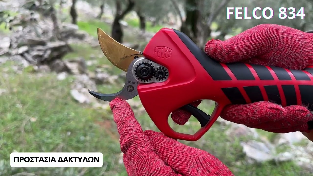 Felco 834 & ΔΩΡΟ Κοντάρι Επέκτασης - Παρουσίαση εν ώρα εργασίας