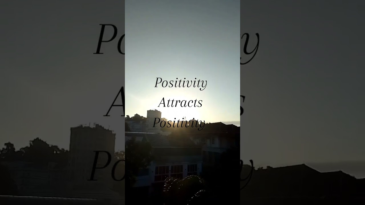 Позитив притягивает позитив #позитив #притягивает #короткоевидео #короткометражки