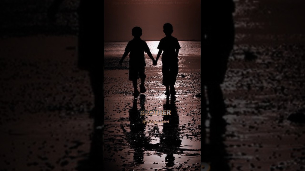 Brother love status 🌹 love u so much status  #whatsappstatus #2023status #Itspappubhai