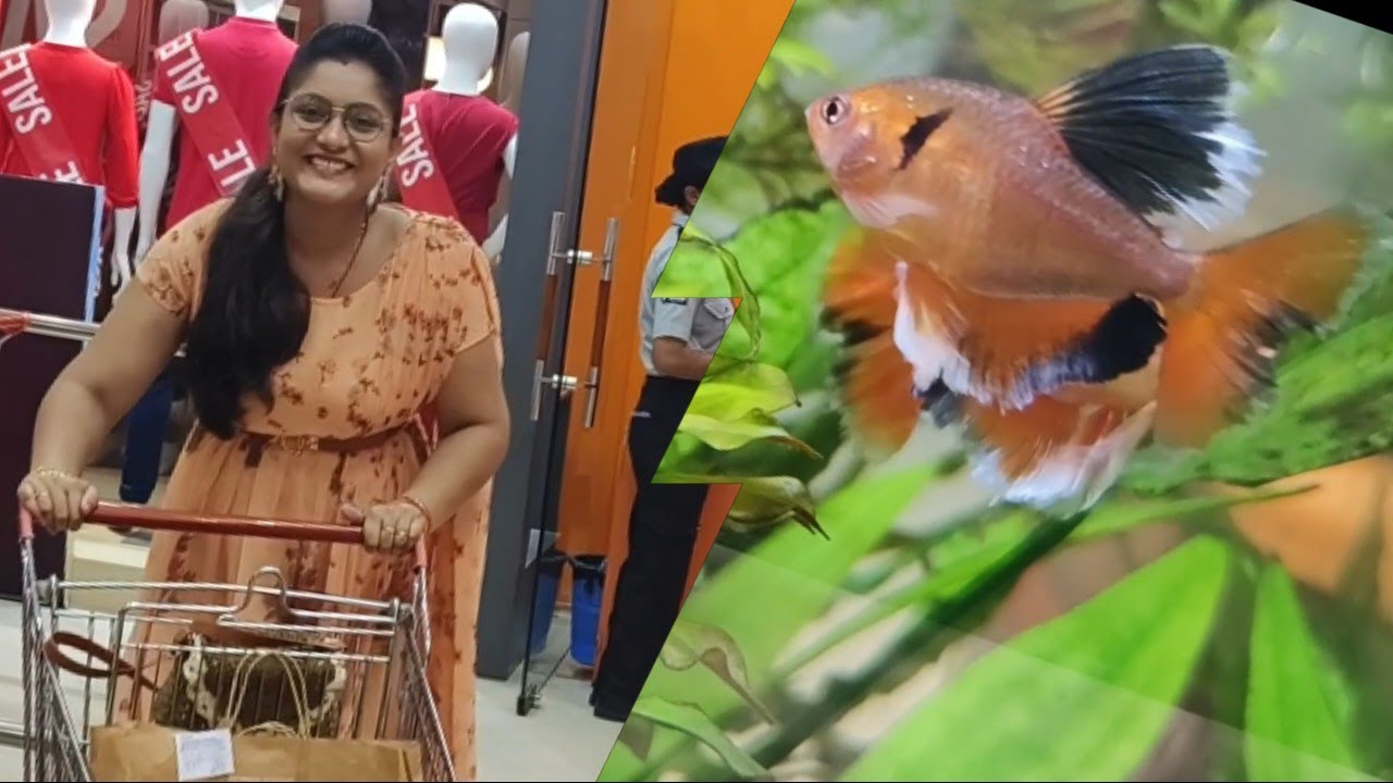 First time bought something from here #kolkatavlogger #grocery #shopping #rainyday #southcitymall