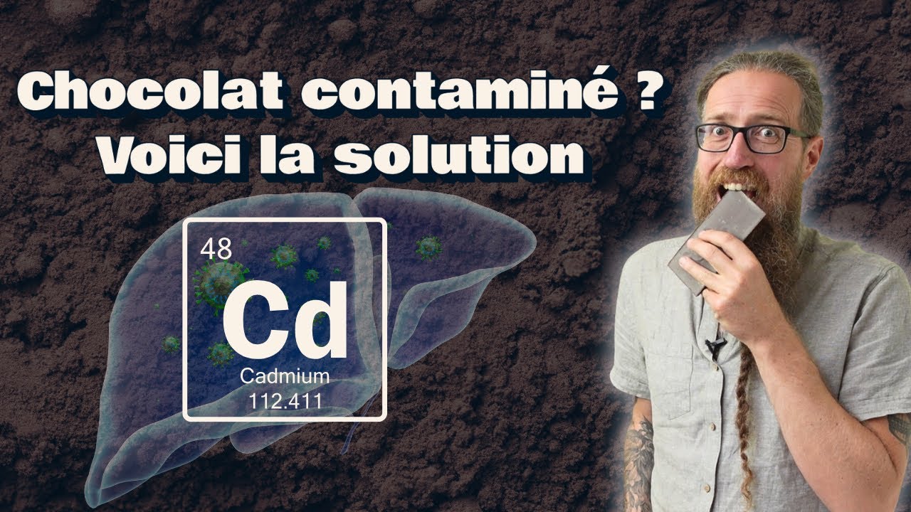 Chocolat noir et m&eacute;taux lourds : comment d&eacute;toxifier son corps ?