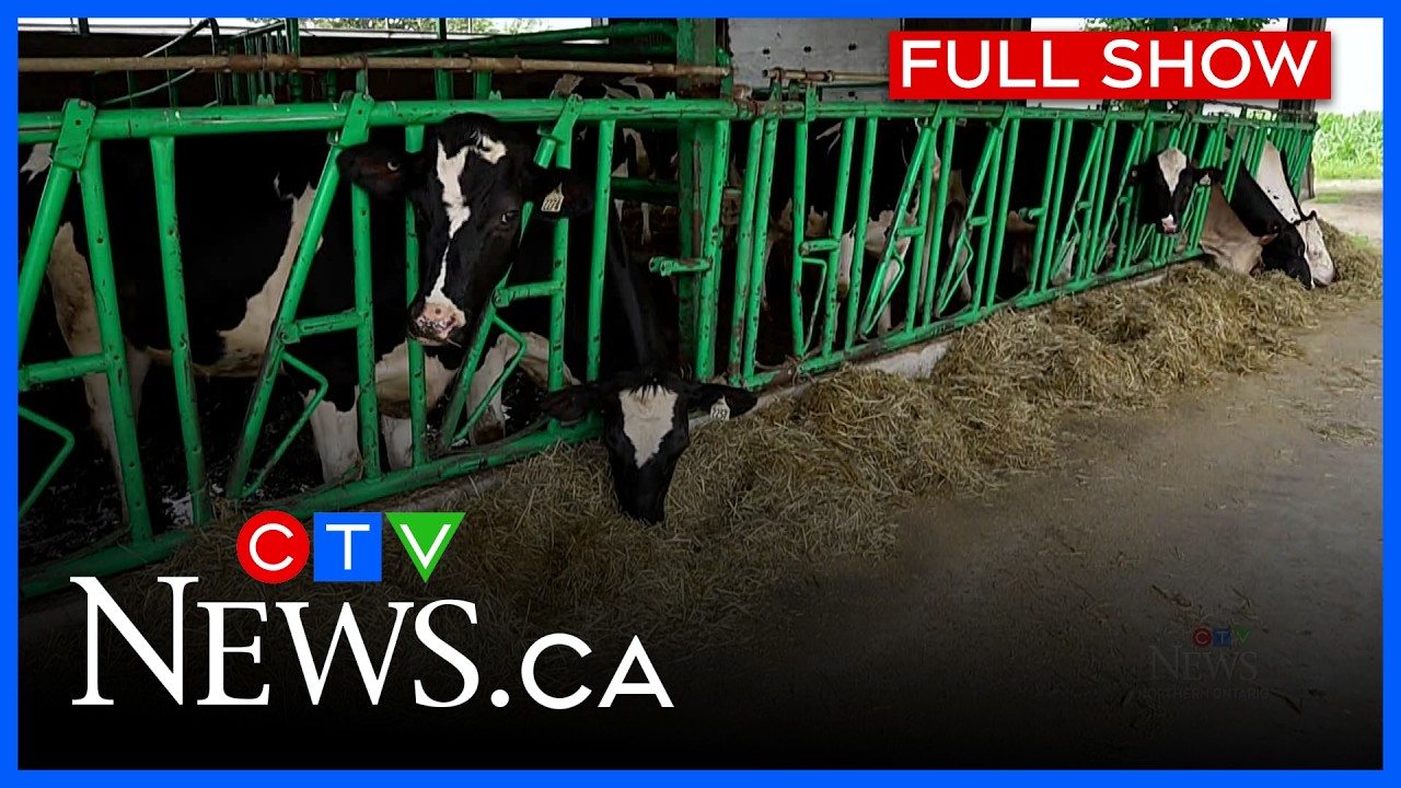 Канада застигнута врасплох новыми тарифами США | CTV News Northern Ontario в 18:00 от 21 июля 202...