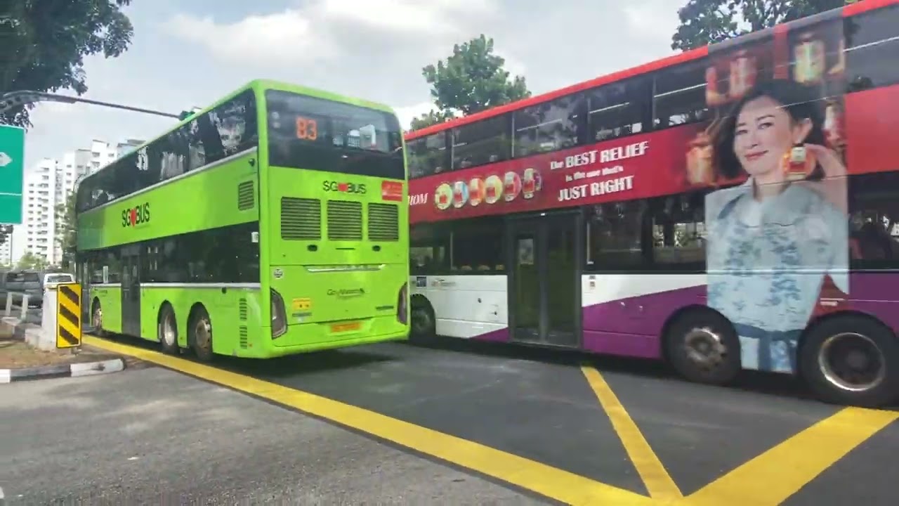 Season 1 Episode 3, Spotting@Sengkang