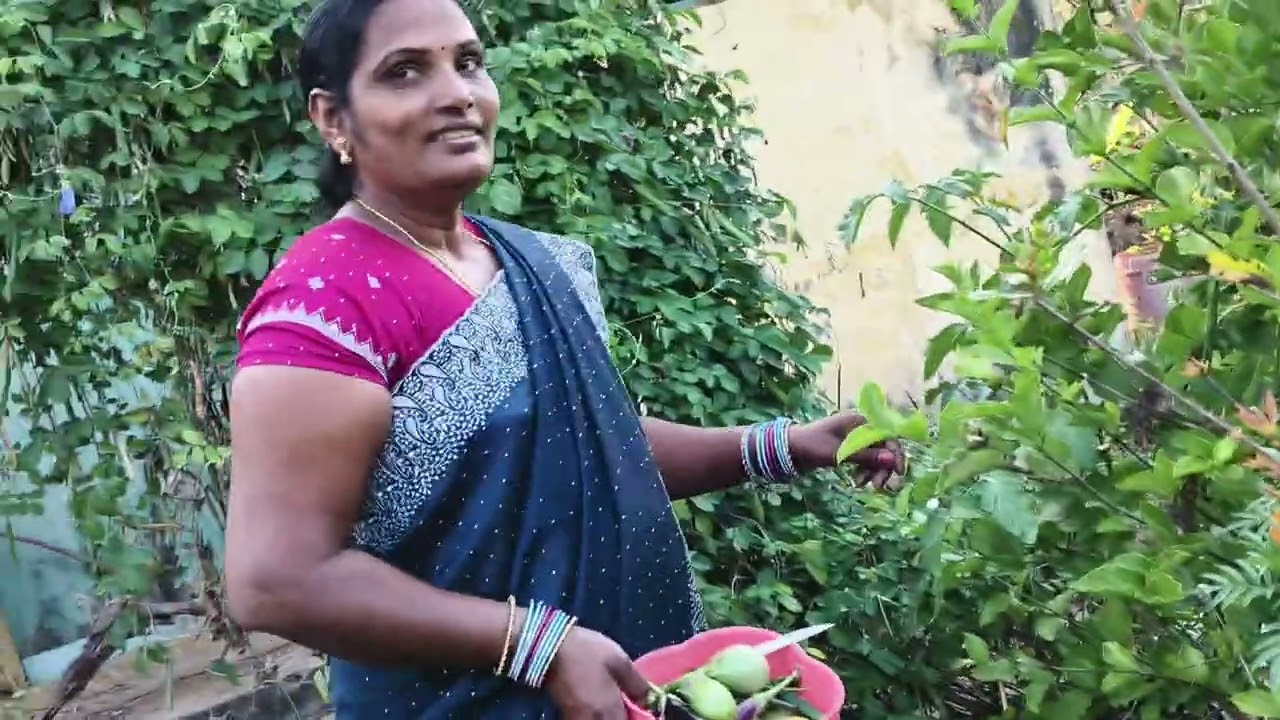 saravani garden 🏡