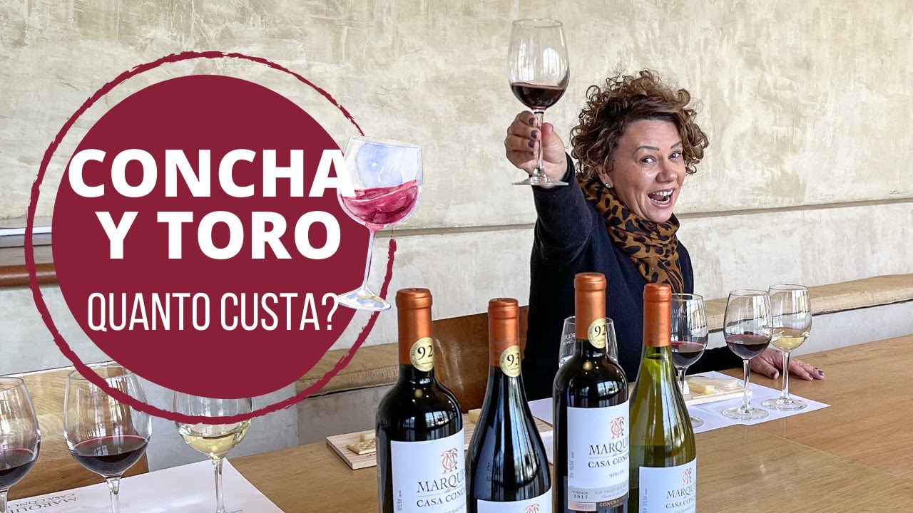 CONCHA Y TORO: Como é o tour e a degustação na MAIOR vinícola do Chile e qual é o valor?