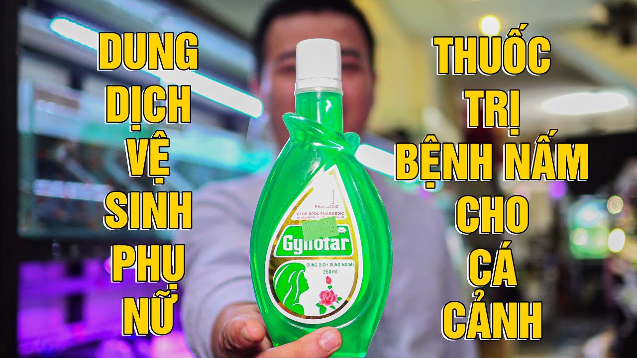Các loại thuốc tây dùng điều trị bệnh cho cá cảnh