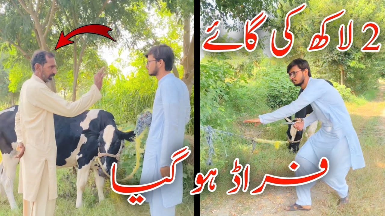 2 Lakh ki Gaye • Scam Ho gya 😱🥵