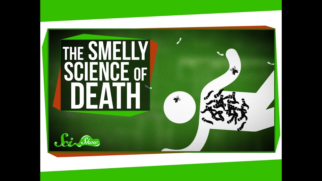 The Strange, Smelly Science of Decomposing Bodies