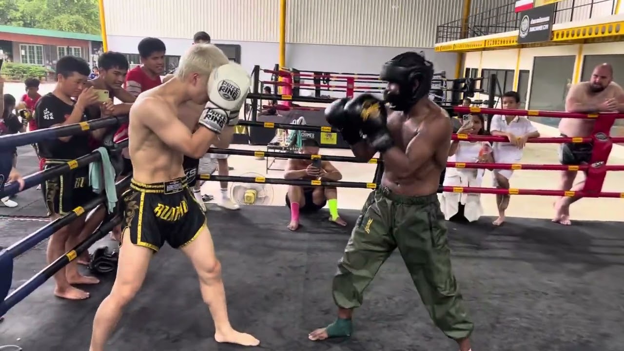 Buakaw Boxing Sparring With Kota Miura! ALMOST KNOCK HIM OUT!! FUNNY!!