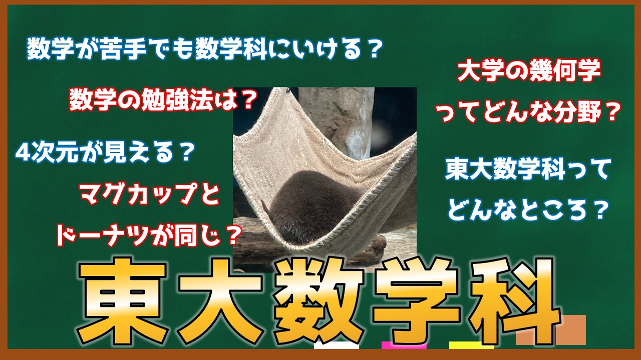 東大数学科にきいてみた！【幾何・位相幾何(トポロジー)編】