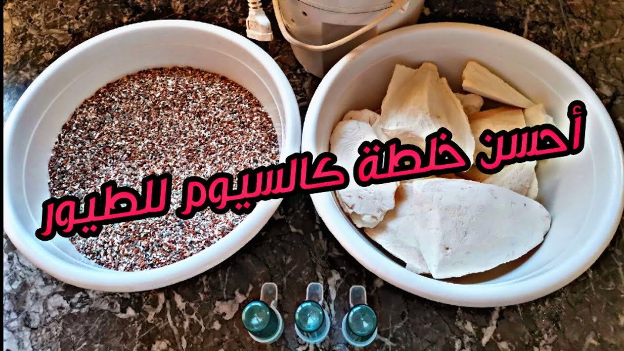 أحسن خلطة كالسيوم للطيور نقدمها طوال الموسم