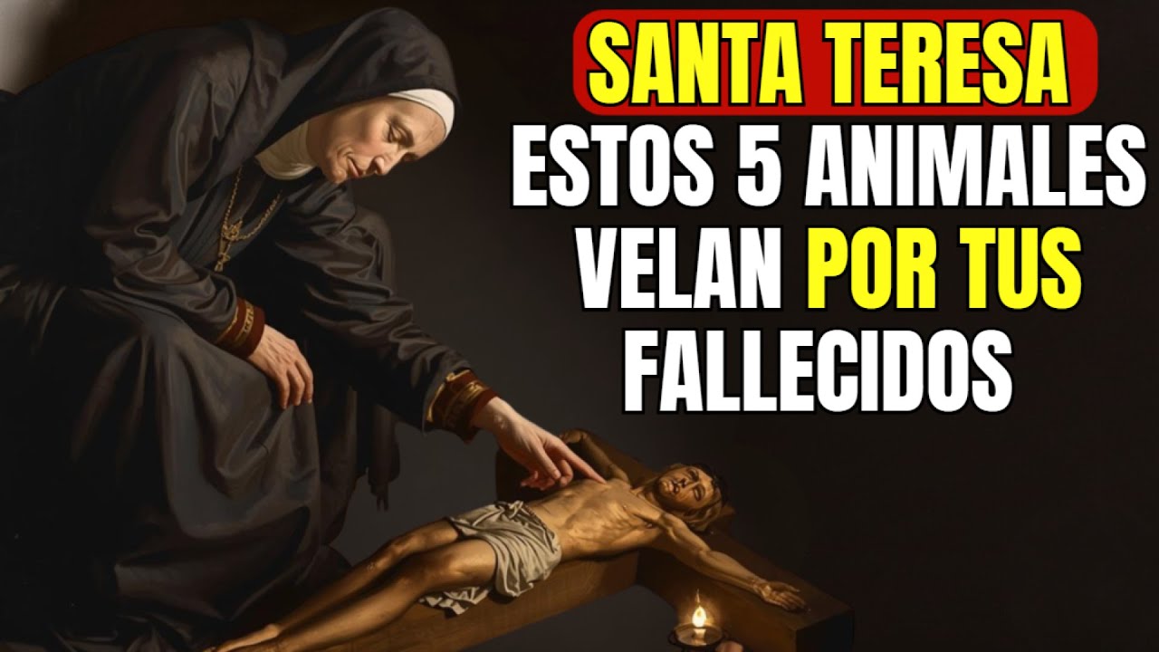 ⚠️SANTA TERESA REVELÓ: ESTOS 5 ANIMALES INTERCEDEN POR UN ALMA FALLECIDA — ¡NADIE LO SABE!