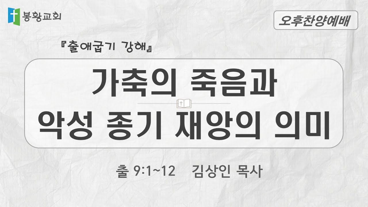 2026-01-11 / '가축의 죽음과 악성 종기 재앙의 의미' / 출 9:1~12 / 김상인 목사 / 봉황교회 오후찬양예배