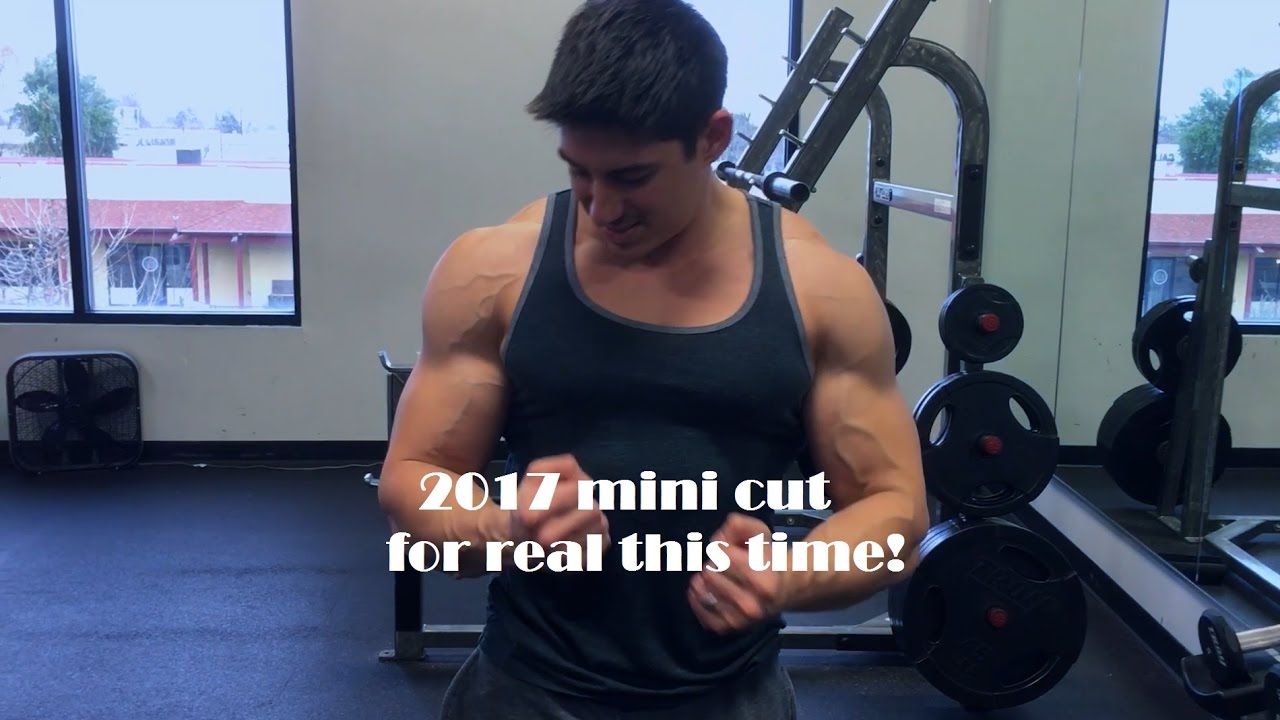 Day 1 of 2017 Mini Cut - Full Day of Eating and upper body workout