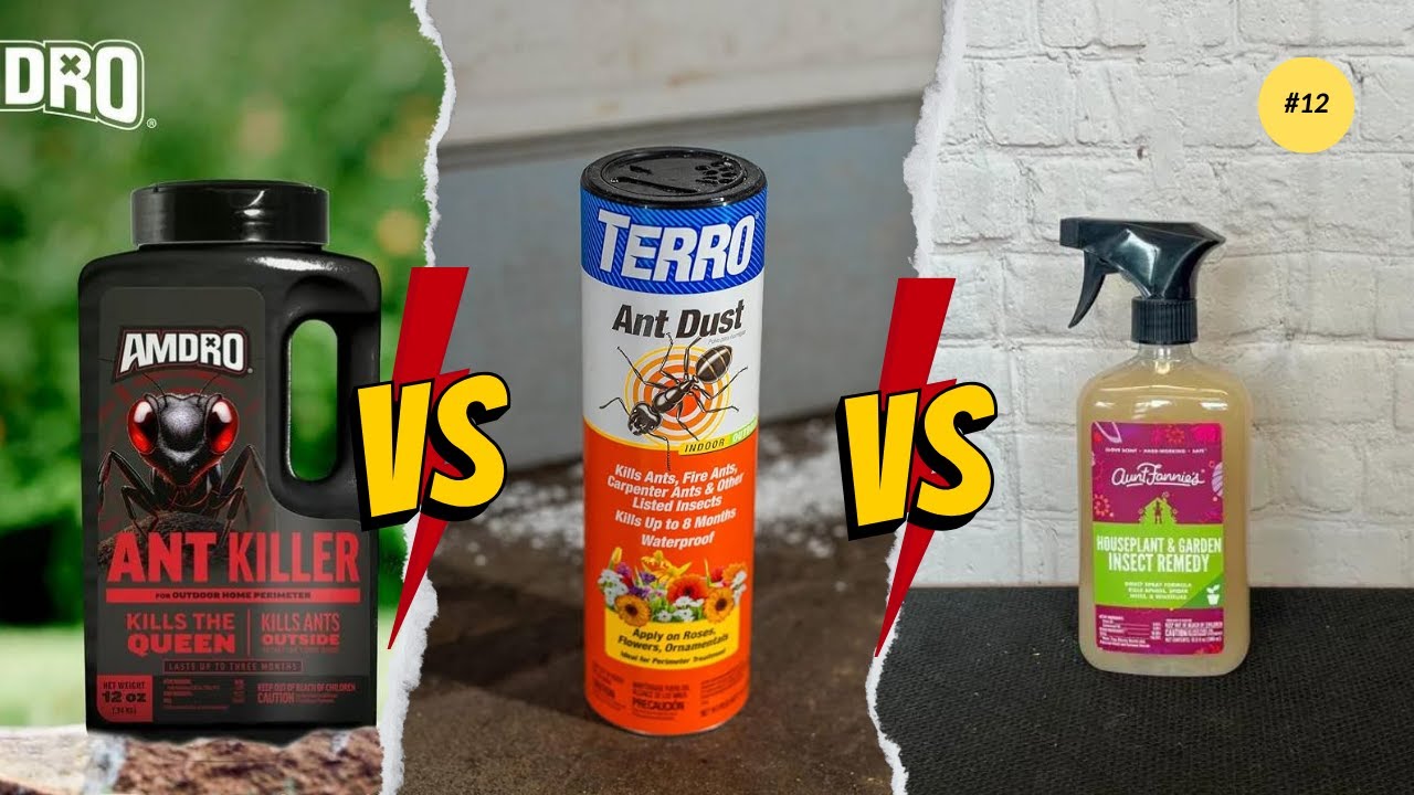 7 Best Ant Killers 2026 [Reviews of Indoor & Outdoor]