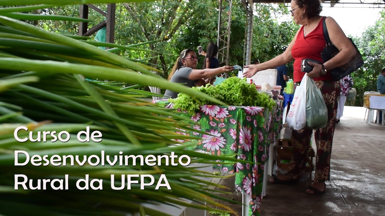 FeiVest | Curso de Desenvolvimento Rural da UFPA - #17