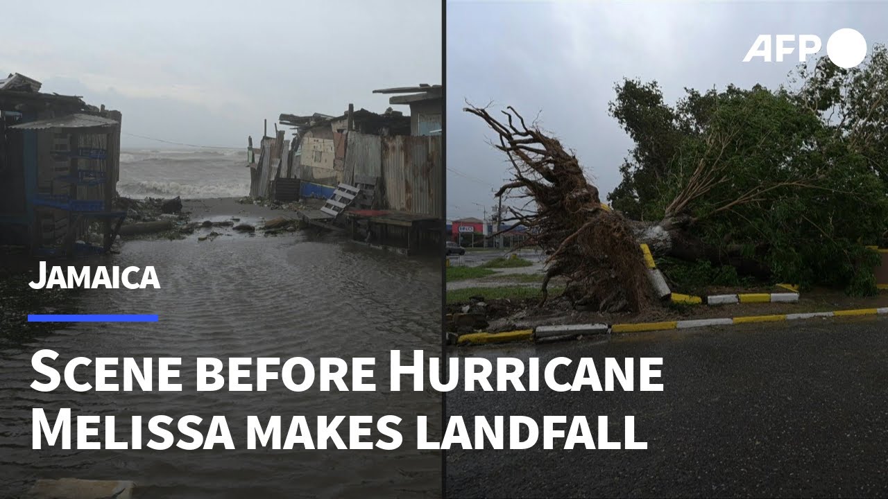 Fallen trees, windy conditions in St. Catherine as Hurricane Melissa hits Jamaica | AFP