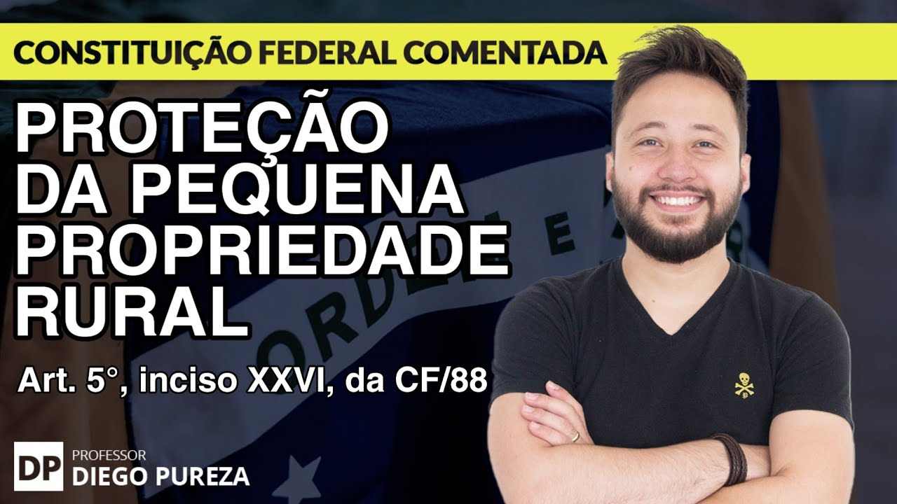 Proteção sobre a Pequena Propriedade Rural (art. 5º, XXVI, da CF/88)